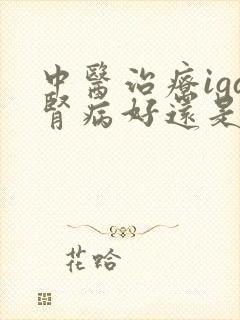 中医治疗iga肾病好还是西医治疗好