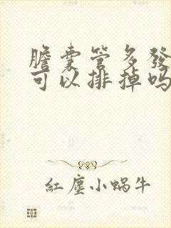 胆囊管多发结石可以排掉吗