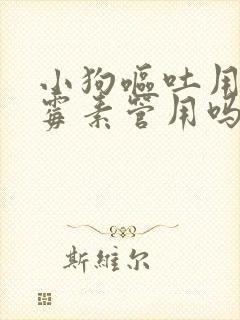 小狗呕吐用庆大霉素管用吗