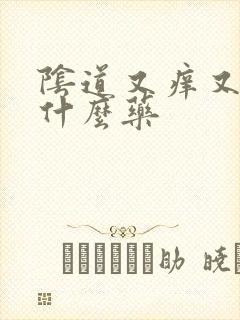 阴道又痒又疼用什么药