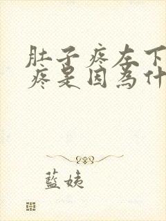 肚子疼左下方腹疼是因为什么