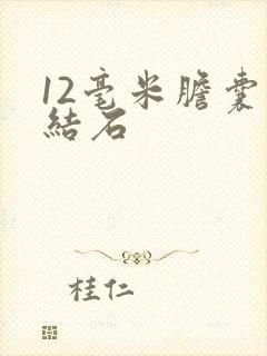 12毫米胆囊内结石