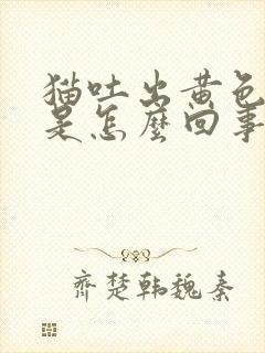 猫吐出黄色液体是怎么回事