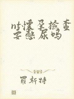 nt怀孕检查需要憋尿吗