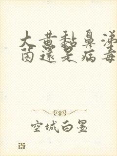 大黄黏鼻涕是细菌还是病毒