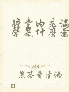 胆囊内充满强回声是什么意思