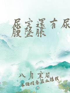 尿完还有尿意小腹坠胀