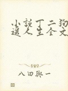 小说丁二狗的逍遥人生全文免费阅读