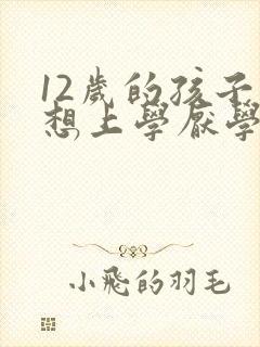 12岁的孩子不想上学厌学怎么办