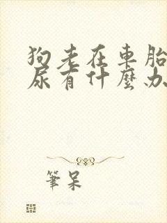 狗老在车胎上撒尿有什么办法解决