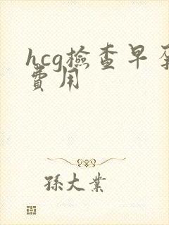 hcg检查早孕费用