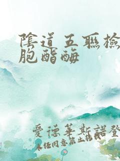 阴道五联检白细胞酯酶