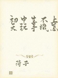 初中生不上学整天玩手机怎么办