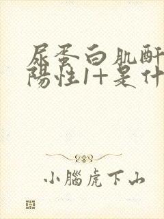 尿蛋白肌酐比值阳性1+是什么意思