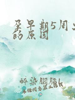 孕早期5周出血的原因