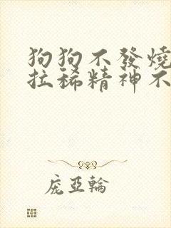 狗狗不发烧呕吐拉稀精神不好不进食