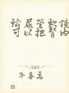 输尿管软镜取石可以把肾内结石取净吗