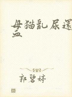 母猫乱尿还有点血