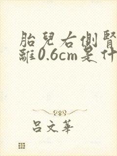 胎儿右侧肾盂分离0.6cm是什么意思