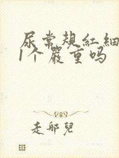 尿常规红细胞11个严重吗