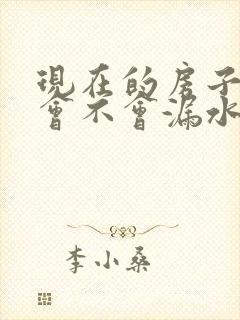 现在的房子楼顶会不会漏水