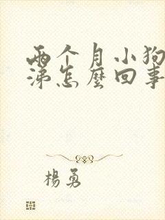 两个月小狗流鼻涕怎么回事