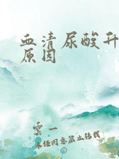 血清尿酸升高的原因