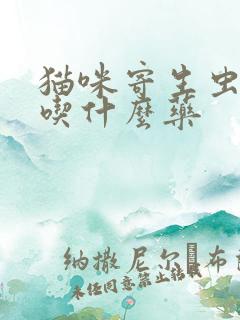 猫咪寄生虫感染吃什么药