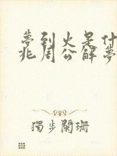 梦到火是什么预兆周公解梦