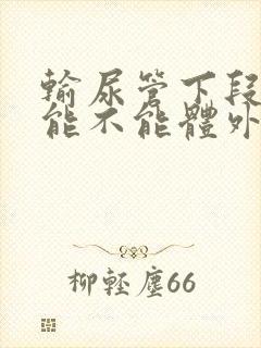 输尿管下段结石能不能体外碎石