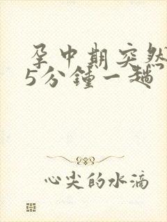 孕中期突然尿频5分钟一趟