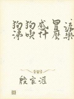 狗狗感冒流清鼻涕吃什么药