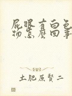 屁眼有白色分泌物怎么回事