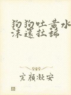 狗狗吐黄水带泡沫还拉稀