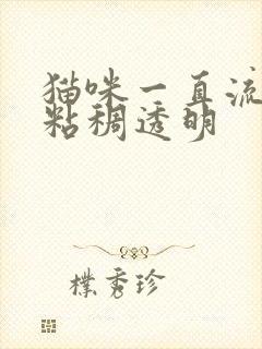 猫咪一直流口水粘稠透明