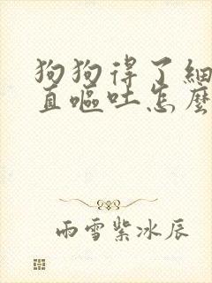 狗狗得了细小一直呕吐怎么办