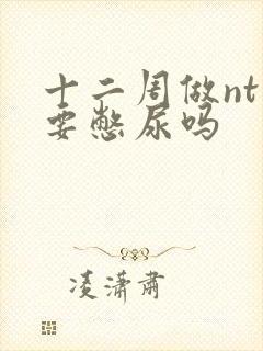 十二周做nt需要憋尿吗