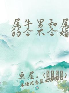 属牛男和属鼠女的合不合婚