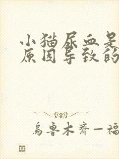 小猫尿血是什么原因导致的怎么治疗