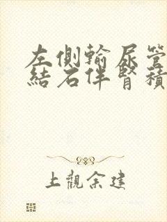 左侧输尿管上段结石伴肾积水