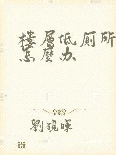 楼层低厕所反味怎么办