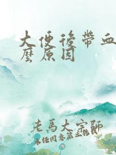 大便后带血是什么原因