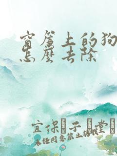 窗帘上的狗尿味怎么去除