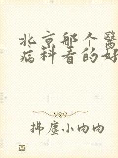 北京那个医院肾病科看的好