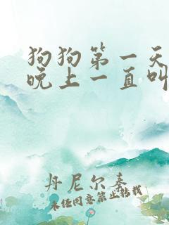 狗狗第一天到家晚上一直叫怎么办