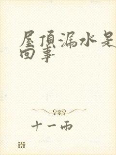 屋顶漏水是怎么回事