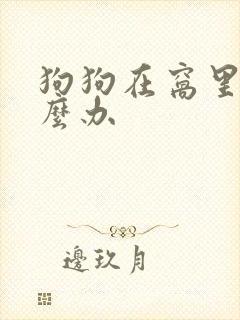 狗狗在窝里尿怎么办