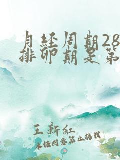 月经周期28天排卵期是第几天