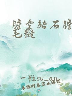 胆囊结石胆囊壁毛糙