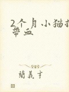 2个月小猫拉稀带血